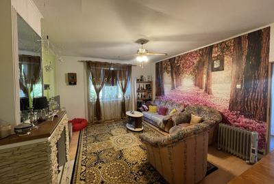 Casă de vânzare în inima Cetății | 4 camere | 160mp utili | 730mp supraf totala - 8