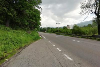 Teren Busteni, 3.999 mp, deschidere DN 1 aprox. 113 m, comision 0% - 4