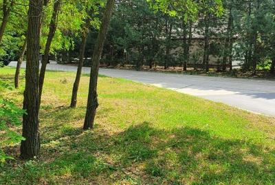 PARADISUL VERDE- teren in suprafata de 1 326 mp,. utilitati - 4