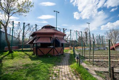Vilă pe malul lacului, 3.000 mp, 4 corpuri, Piscină, teren Tenis - 8