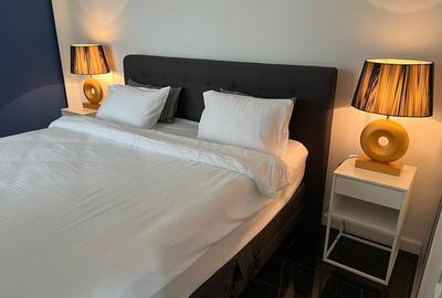 Apartament 2 camere zona Grigorescu/Gruia - 4