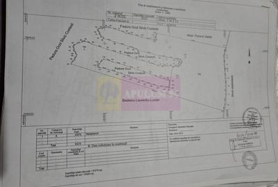 9,4 ha teren lângă DEx12 Pitești | 2,85 €/mp | loturi sau pachet - 3