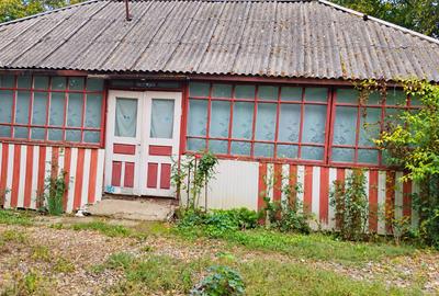 TEREN INTRAVILAN CU CASĂ ȘI ANEXE | 1.010 MP | IONĂȘENI, VÂRFU CÂMPULUI - 10