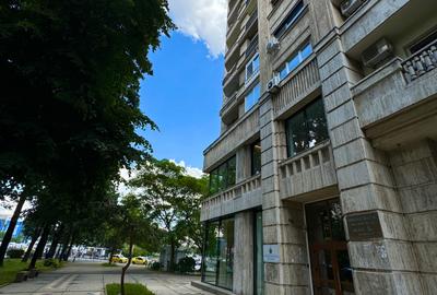 Apartament  Premium Ultracentral 3 camere, de vanzare - Bd.Unirii - 2