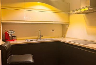 Apartament 2 camere de inchiriat Herastrau Nordului - 14
