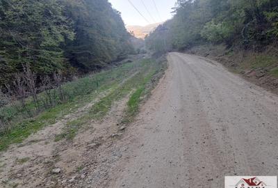 Vanzare casa cu 17.399 mp teren in Vintu de Jos - Valea Vintului - 10