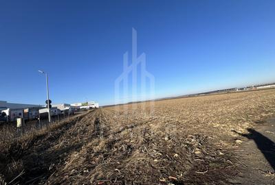 Teren Intravilan | Zona Industriala Vest | 20.663 mp - 6