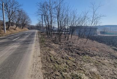 Teren la strada in Manolesti - 2