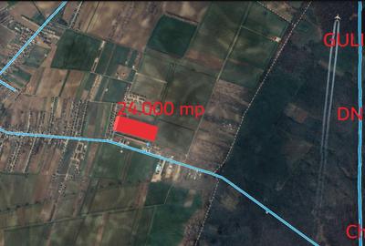 Teren rezidential 24.000 mp Sabareni - 2