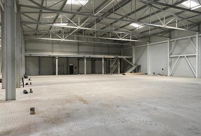 Inchiriere depozit frigorific congelare/hala/spatiu industrial Otopeni - Centura - 3