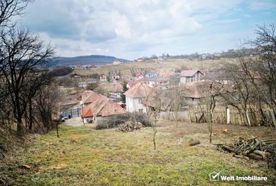 Casa la tara, la 30 min de Cluj – renovata, livada pe rod si teren 1000 mp - 6