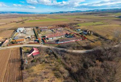 De vânzare spațiu industrial în Loc. Tileagd–Tilecuș - 6