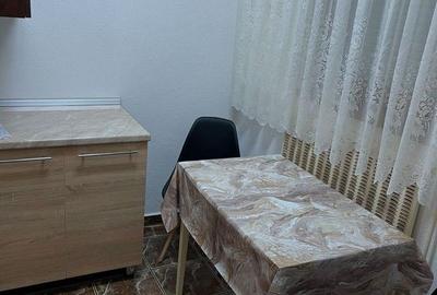 Studio modern | Turnisor | Sibiu - 3