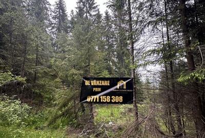 Vanzare teren Baisoara, zona Cabana Copiilor