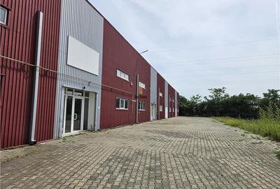 Spatiu Industrial - 2700 mp - Productie - Depozitare - Distributie - 10