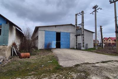 Hale industriale - 1