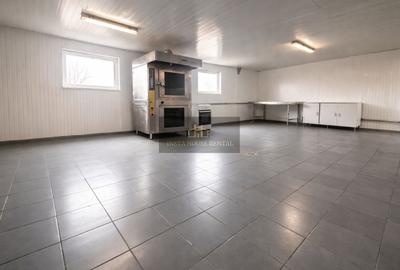 Spațiu comercial tip fabrică – Zona industrială Podul Dragaicii - 4