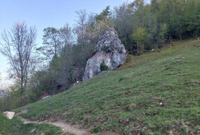 Teren intravilan panoramic în Peștera, Moieciu - 11048 mp - 7