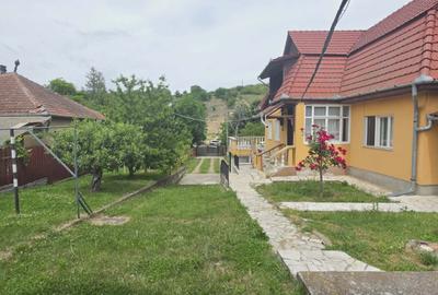 Casă cu teren 3.000 mp de vânzare, str. Adevărului-CV0529 - 11