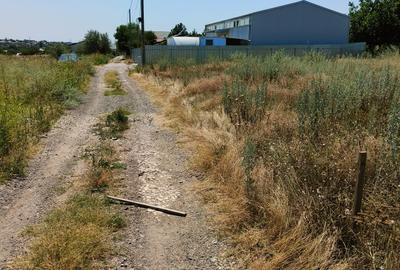 Vand 566mp intravilan Filesti -27euro/mp - 1