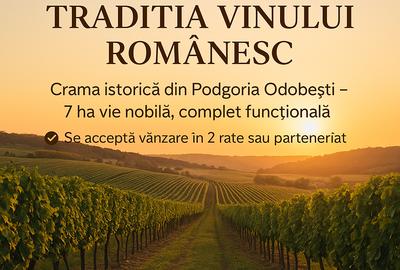 CRAMĂ FUNCȚIONALĂ DE VÂNZARE   ÎN INIMA PODGORIEI ODOBEȘTI (VRANCEA) - 1