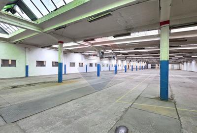 Inchiriere hale industriale lângă Brașov, Prejmer, Lunca Calnicului - 10