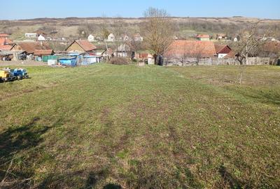 💰 29.500 € – Teren intravilan 1681 mp în Stanciova  , la 33 min de Timișoara. - 1