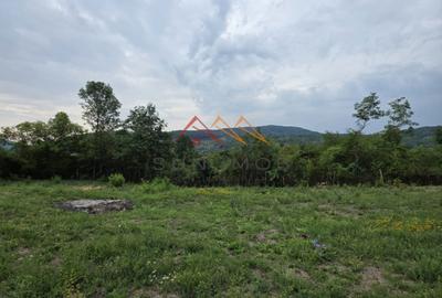 Teren Intravilan, utilitati in zona, 2600 mp, Draganeasa, Prahova - 1