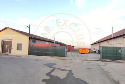 De Vanzare / Inchiriere 2 Hale Productie 978 mp- Carei - Comision 0% cumparator - 1