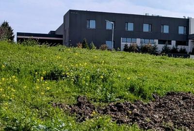 Paradisul Verde-Corbeanca,intravilan,10300mp,deschidere lac-120m,view deosebit - 3