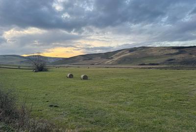 Teren Extravilan I 6000 Mp I Acces la drum | Cojocna - 1