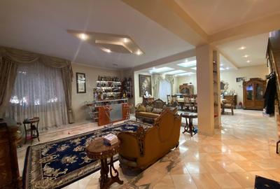 Vila Individuala Pipera - 1