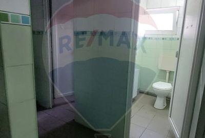 Depozit/Spațiu industrial Vaslui - 0% Comision cumparator - 46