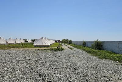23 August / teren la mare - 5