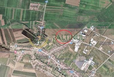 Teren de vanzare 13 euro mp,  6.000 mp - Parcul Industrial Sura Mica Sibiu - 1