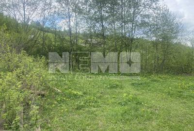 Teren Intravilan | Câmpulung Moldovenesc | 31ARI - 10