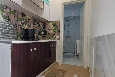 Apartament 1 Cameră cu Balcon – Grand Beetle Păcurari, Iași - 9