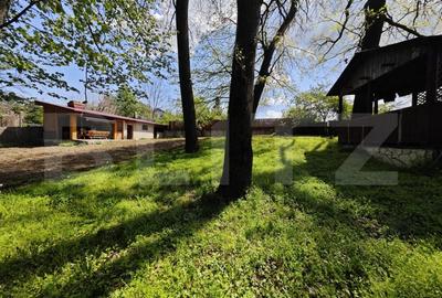 Casuta de vacanta in padure , zona Barnova - 8