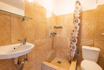 Închiriere Garsoniera zona Piata Sudului  - Mansarda - Pet Friendly - 4