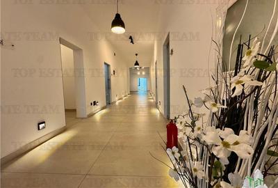 Spațiu comercial, de 38 mp, în Viilor