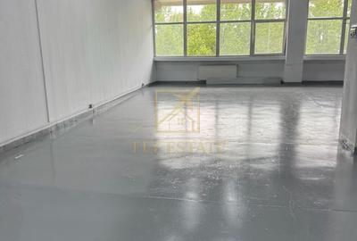 Spatiu Industrial | Pallady - 4