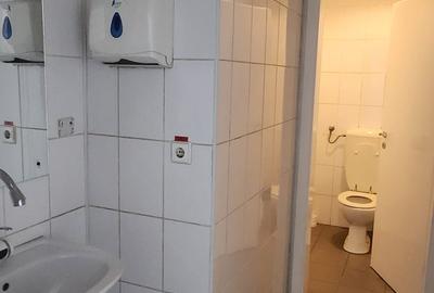 Showroom auto suprafata 6500 mp, teren 1500 mp, deschidere 90 ml la DN 1. - 41