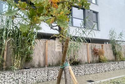 Apartament 2 camere***Bloc NOU premium**Piscina//Sector 1_Chitila - 6
