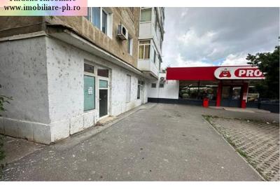 Spațiu comercial, 150 mp în Vest