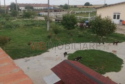 Ferma Zootehnică Mixtă – Cernateaz, Timiș | 9,5 ha | Hale Moderne, Casă 2019, va - 7