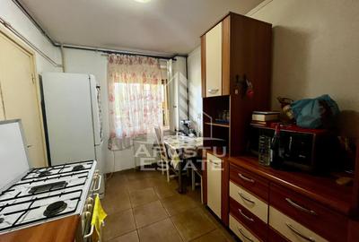 Apartament 4 camere de vanzare, zona Take Ionescu, Timisoara - 14