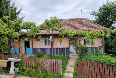 Casa individuala , Sat Ulies , Comuna Raciu , Judetul mures - 5