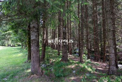 Teren intravilan | Moieciu de Sus | 12307 | PUZ - 20