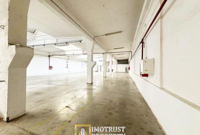 Hala industriala 675 mp, Arad central, acces TIR ideal depozit logitic - 5
