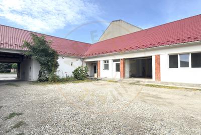 Inchiriere Spatiu Comercial 80 mp, Zona Kovi Ice - Str. Somes Nr. 12 Carei - 1